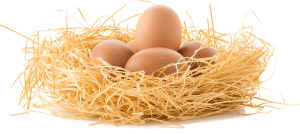 eggs, food