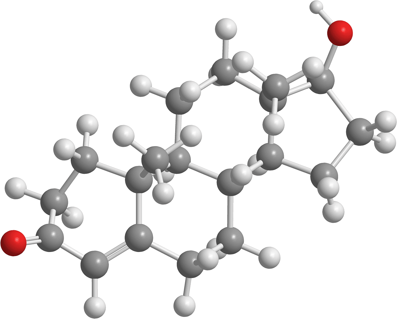 Testosterone formula hormone