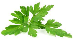 parsley leaves food calories