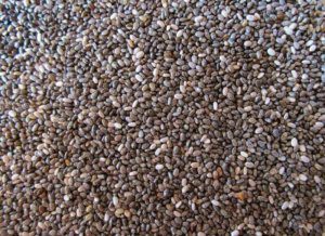 chia seeds Cut Daily Calories 